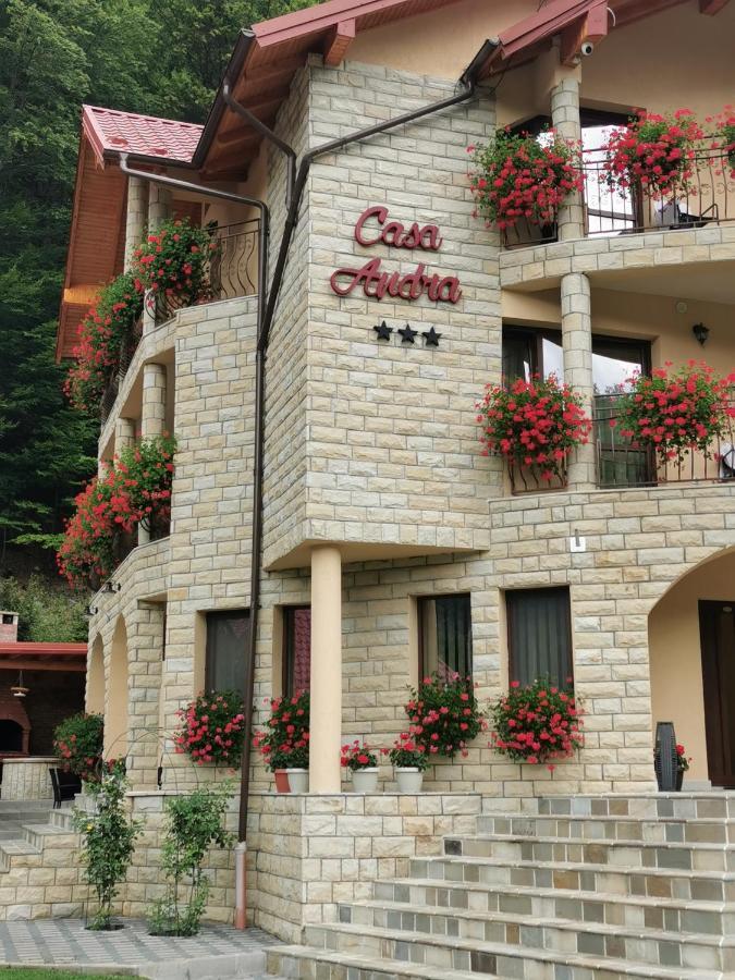 Casa Andra Hotel Szlanikfürdő Kültér fotó