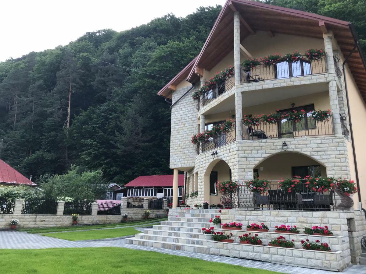 Casa Andra Hotel Szlanikfürdő Kültér fotó