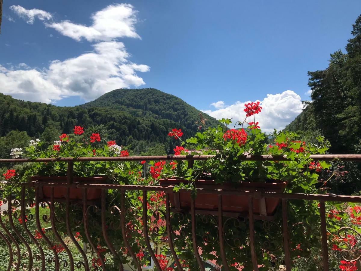 Casa Andra Hotel Szlanikfürdő Kültér fotó